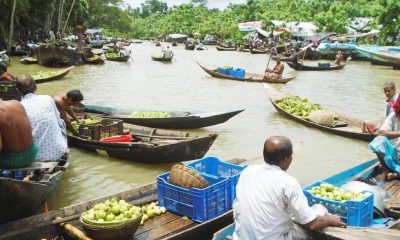 জমে উঠেছে ঝালকাঠির ভাসমান হাট পেয়ারার হাট