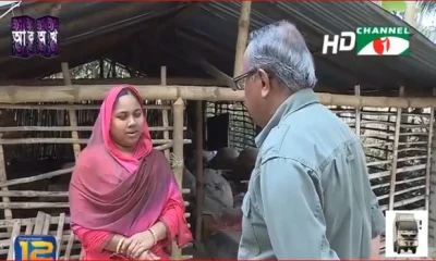 ঝিনাইদহের কালিগঞ্জে ঘরে ঘরে কেঁচো সার উৎপাদন