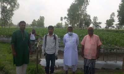 জয়পুরহাটের পাঁচবিবিতে লাভজনক চায়না তরমুজের চাষ