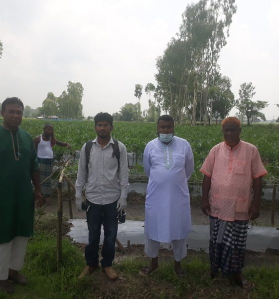 জয়পুরহাটের পাঁচবিবিতে লাভজনক চায়না তরমুজের চাষ