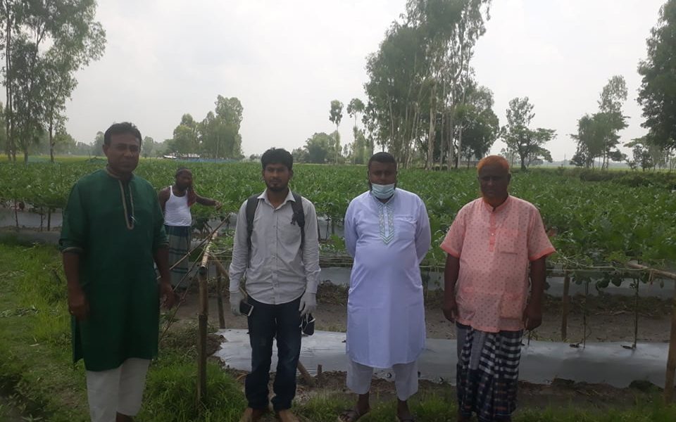 জয়পুরহাটের পাঁচবিবিতে লাভজনক চায়না তরমুজের চাষ