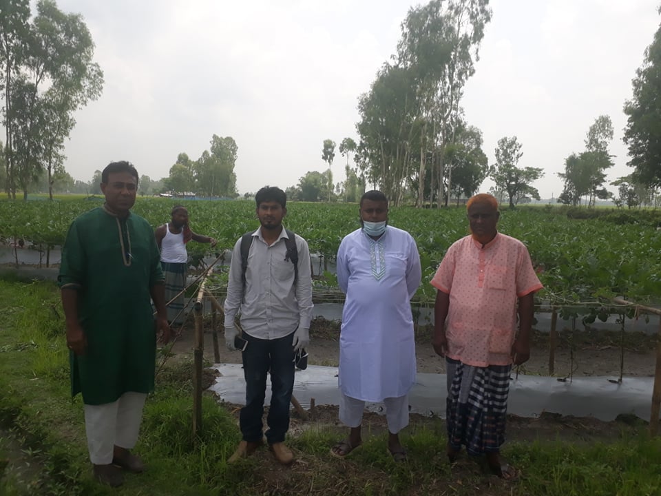 জয়পুরহাটের পাঁচবিবিতে লাভজনক চায়না তরমুজের চাষ