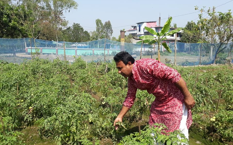 জয়পুরহাটের পাঁচবিবিতে লাভজনক চায়না তরমুজের চাষ