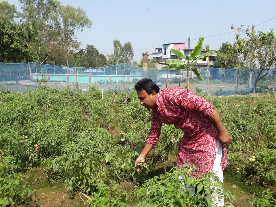 জয়পুরহাটের পাঁচবিবিতে লাভজনক চায়না তরমুজের চাষ