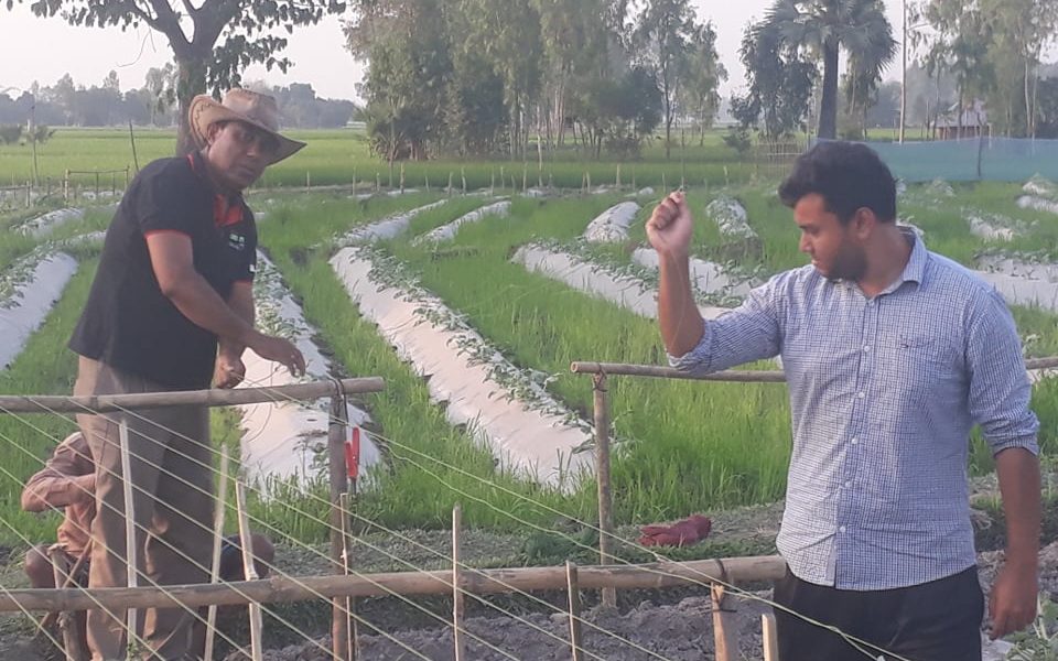 জয়পুরহাটের পাঁচবিবিতে লাভজনক চায়না তরমুজের চাষ