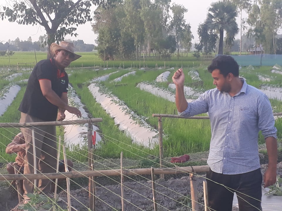 জয়পুরহাটের পাঁচবিবিতে লাভজনক চায়না তরমুজের চাষ