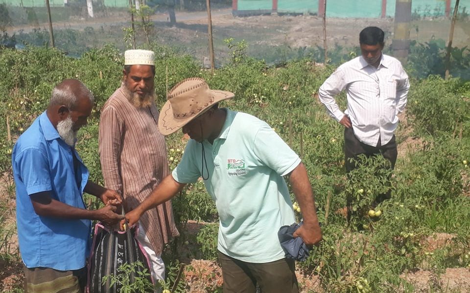 জয়পুরহাটের পাঁচবিবিতে লাভজনক চায়না তরমুজের চাষ