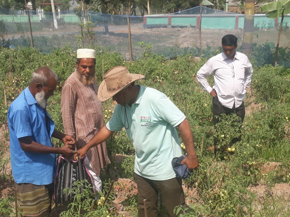 জয়পুরহাটের পাঁচবিবিতে লাভজনক চায়না তরমুজের চাষ