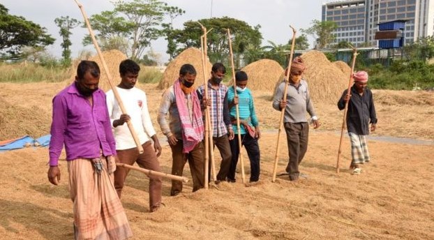  বাংলাদেশের কৃষিখাতে শ্রমিক ষঙ্কট করোনাভাইরাস মহামারির সময় আরো তীব্র হয়েছে। 