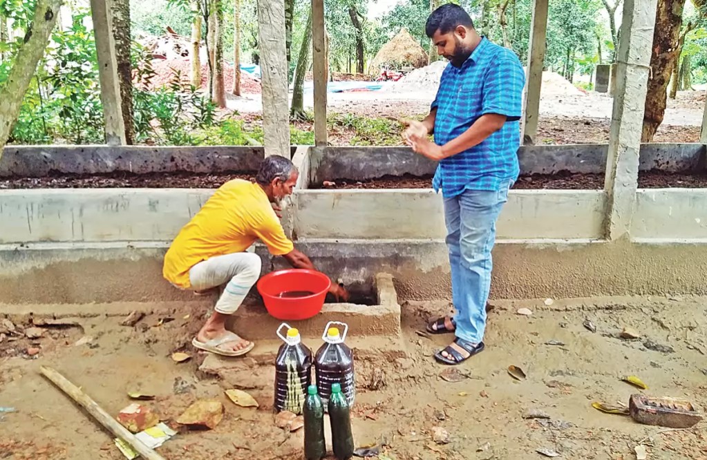 উৎপাদিত লিচেট সংগ্রহ করছেন কৃষক নিজাম উদ্দিন। সম্প্রতি পাকুন্দিয়ার খামা গ্রামে। প্রথম আলো