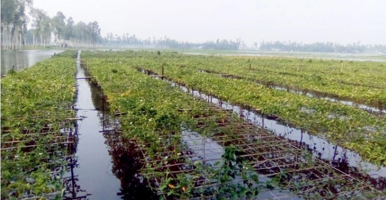 উত্তরাঞ্চলে আবারও চোখ রাঙাচ্ছে বন্যা