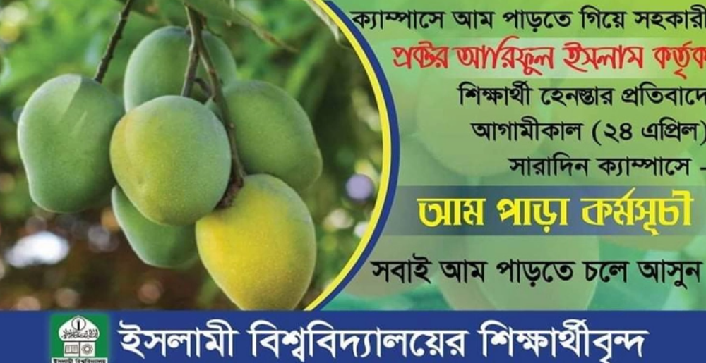 আম পাড়ায় সহকারী প্রক্টরের থাপ্পড়, শিক্ষার্থীদের অভিনব প্রতিবাদ