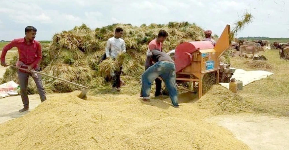 বোরো এলে চালে স্বস্তি ফিরবে?