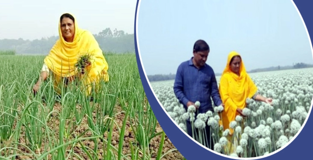 দেশসেরা পেঁয়াজের বীজ চাষি বক্তার খান-সাহিদা