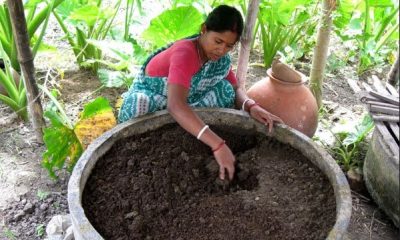 খামার বর্জ্য থেকে মিশ্রসার তৈরি করব কীভাবে?