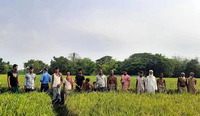 ব্যবসায়ীর কাছ থেকে বীজ কিনে কৃষকেরা ক্ষতিগ্রস্ত