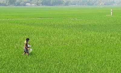 যুদ্ধের কারণে বাংলাদেশে হতে পারে সারের সংকট