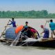 ছোট নদী বা বিলে সারাদিন ধরে নৌকায় চড়ে মাছ ধরেন জেলেরা।