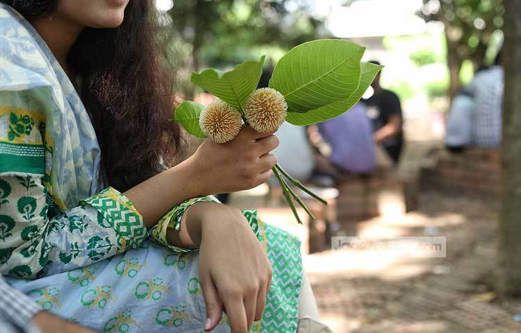 কদম ফুল হাতে নিয়ে বসে আছেন এক যুবতী। ছবি: মাহবুব আলম