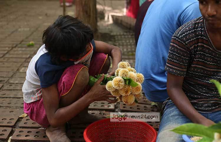 কদম ফুল নিয়ে আলাপচারিতা। ছবি: মাহবুব আলম