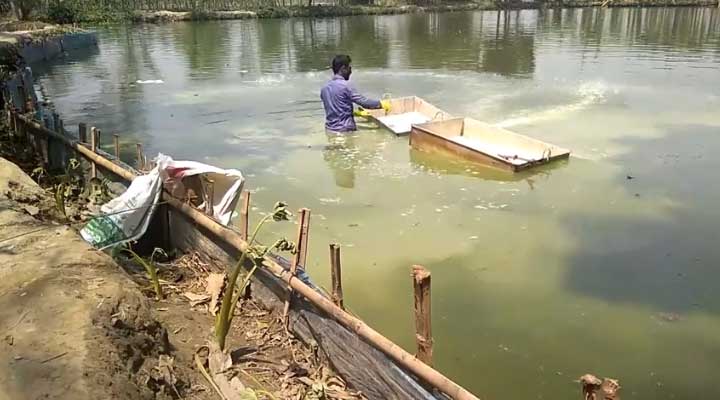 চুন প্রয়োগ