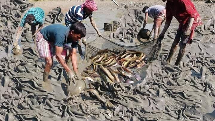 খাদ্য ব্যবস্থাপনা ও খাদ্য সরবরাহ