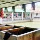 মৎস্য হ্যাচারি ও নার্সারিতে রোগ সংক্রমণে করণীয়