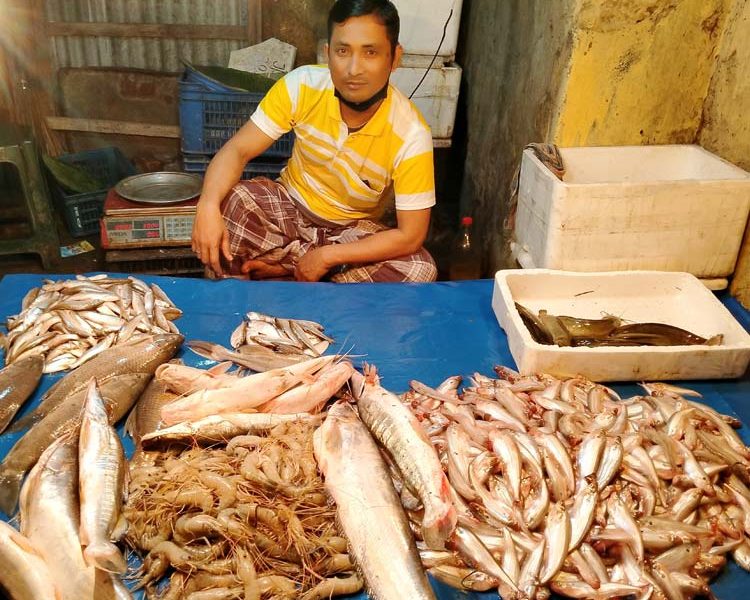 পাতে ফিরেছে বিলুপ্তপ্রায় ৪০ প্রজাতির দেশি মাছ